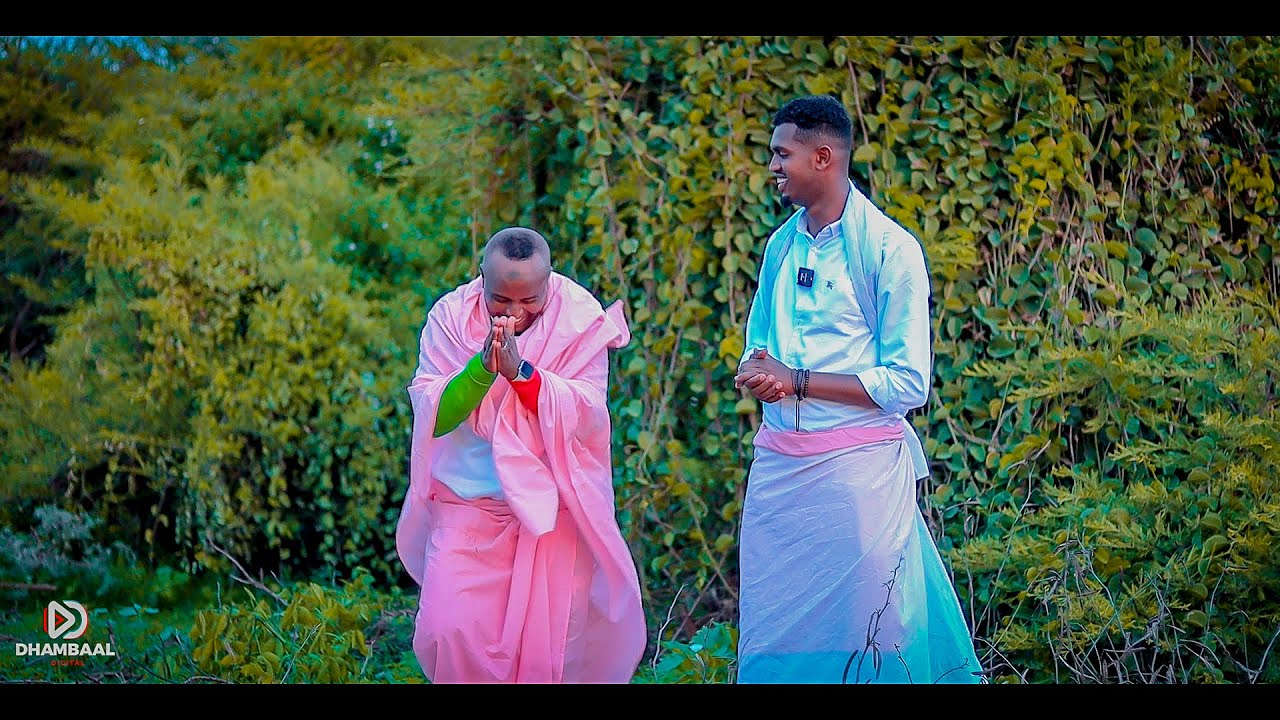 Error: Insufficient Content for Article Generation