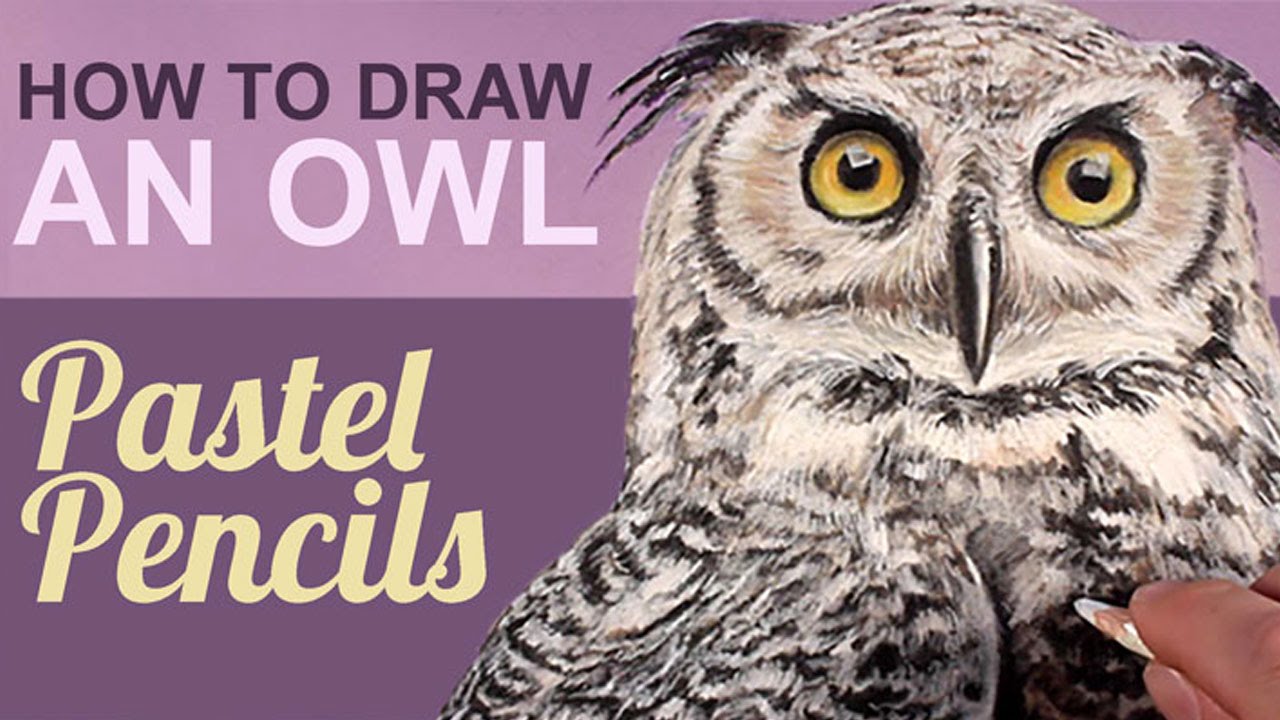 Master Owl Drawings with Pastel Pencils: Fur Texture & Eye Techniques