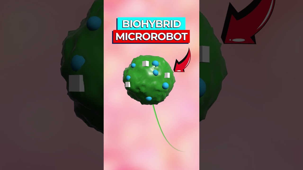 Algae Microbots Revolutionize Kidney Drug Delivery: UCSD Breakthrough