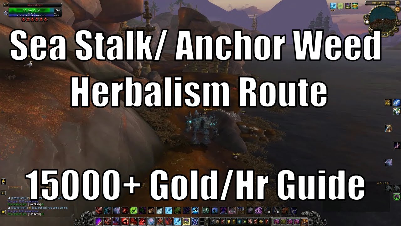 Fast Tiragarde Herbalism Gold Route: 16k+/Hour Guide