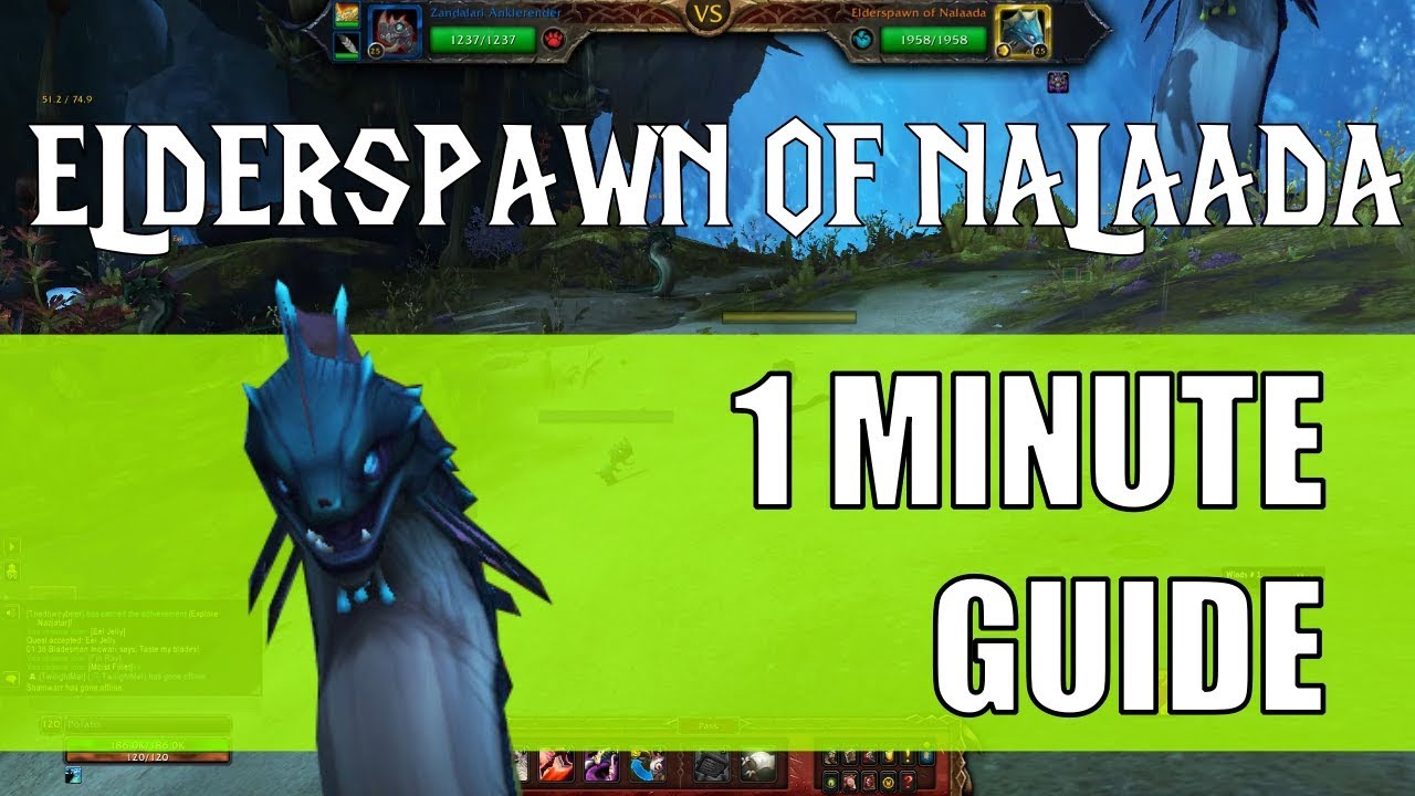 Defeat Elder Spawn of Malada: Reliable Pet Battle Strategy