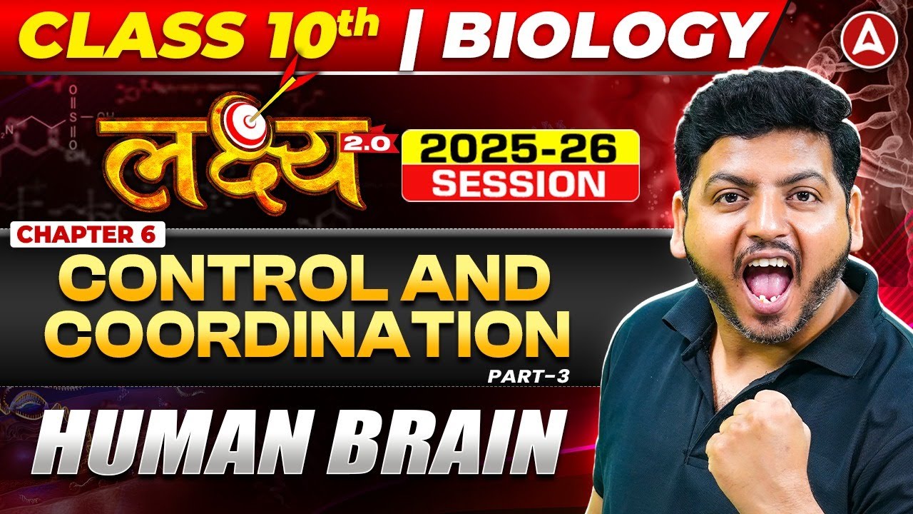 Human Brain Structure and Functions Explained for NCERT Class 10 Biology