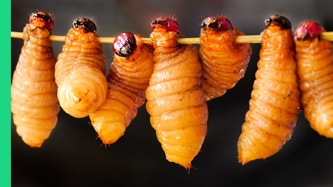 Coconut Religion & Worms: Mekong Delta Cultural Guide