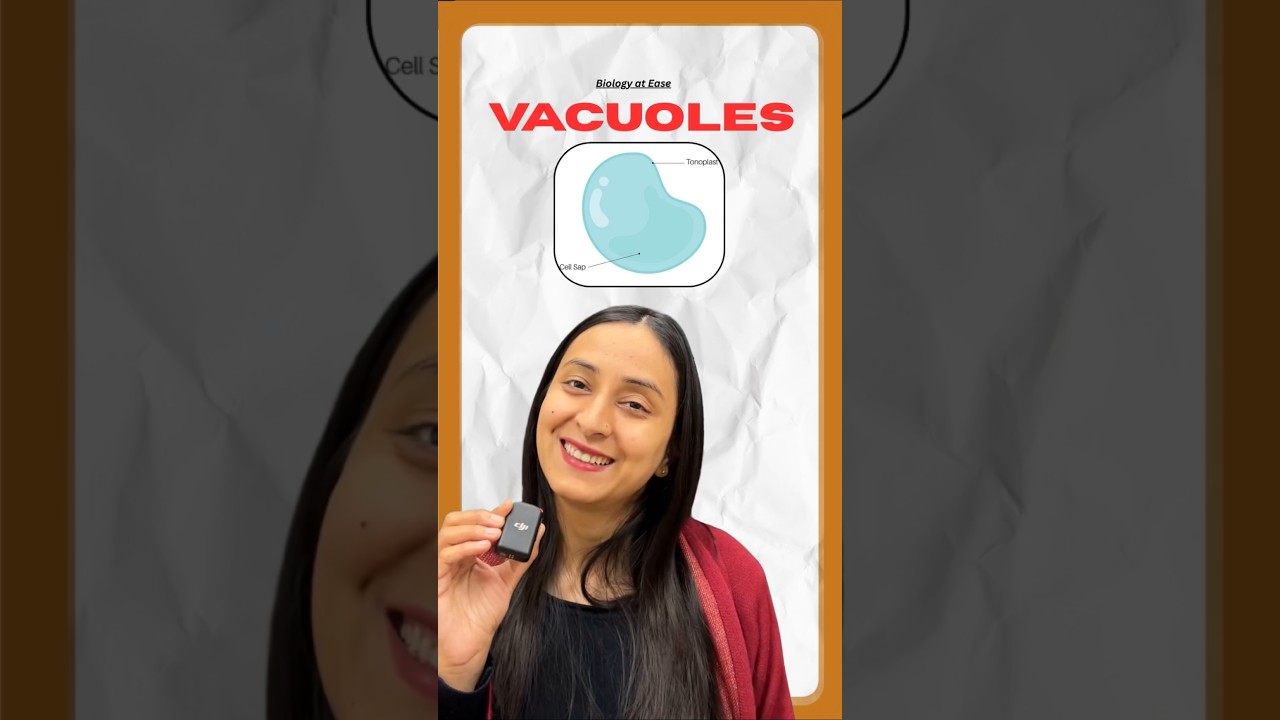 Vacuoles in Cells: NCERT Biology Structure & Functions Explained