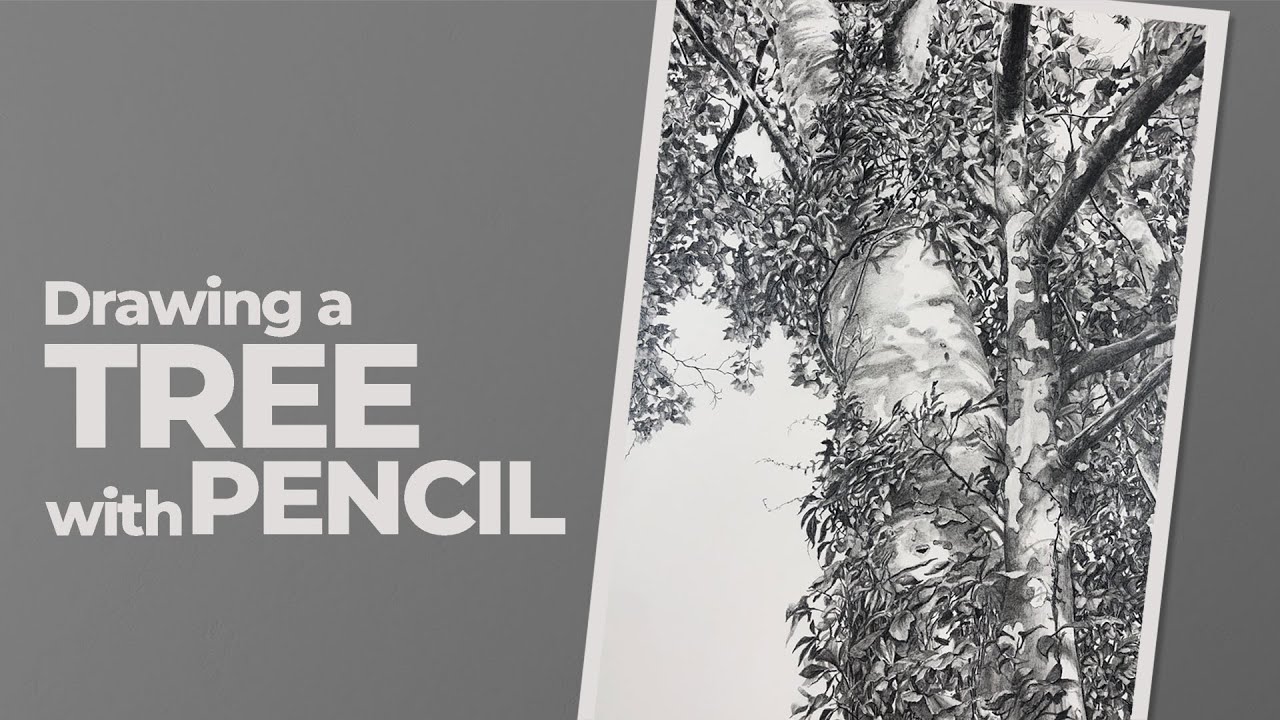 Master Realistic Tree Drawings with Graphite Pencil Techniques