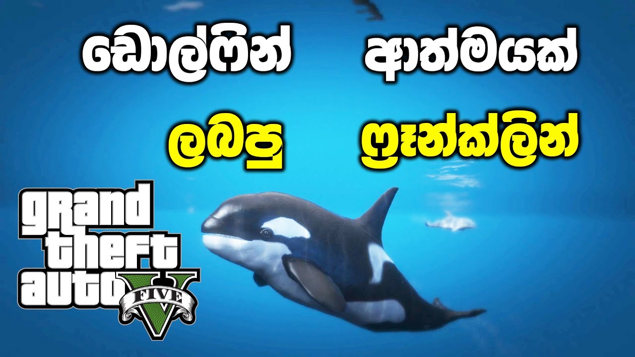 Mastering Video Content Creation: Essential Strategies for Success