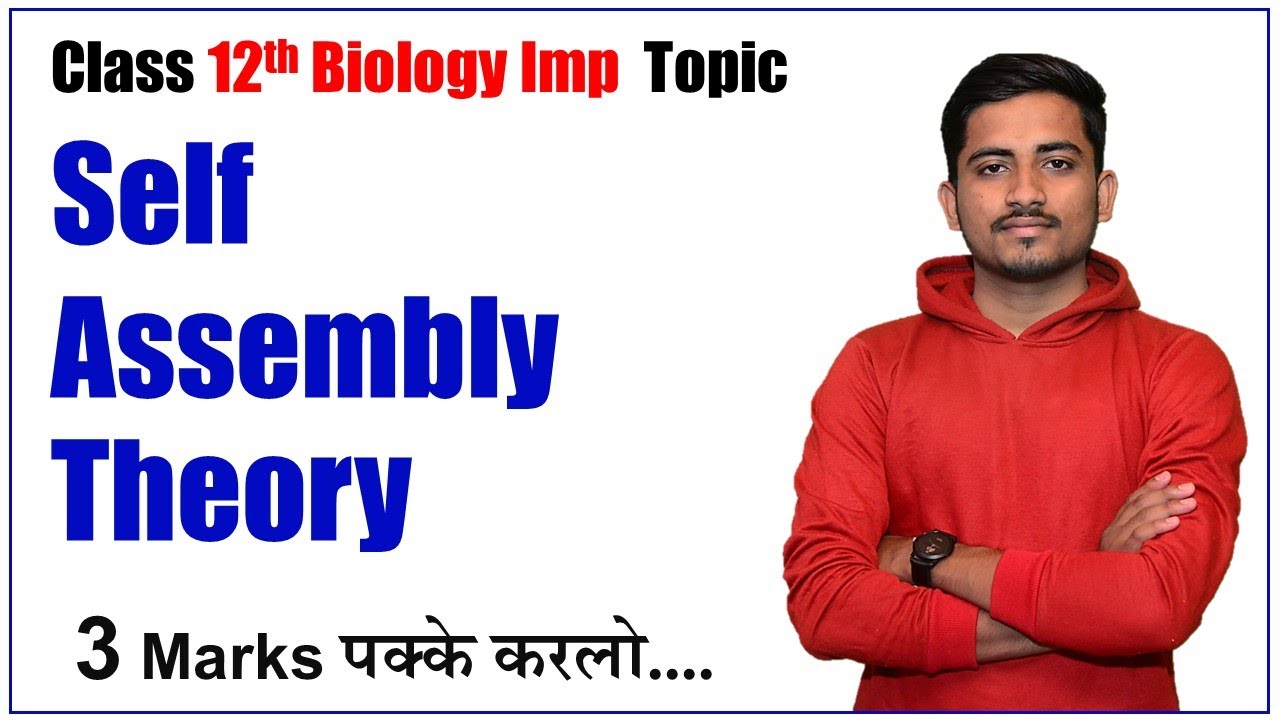 Self-Assembly Theory: Origin of Life in 5 Steps Explained