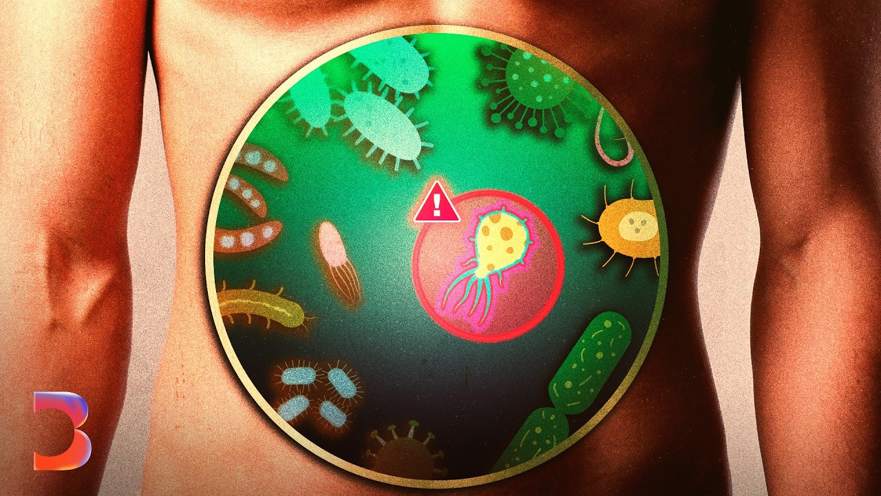 Gut Microbiome Cancer Treatment Breakthroughs Explained