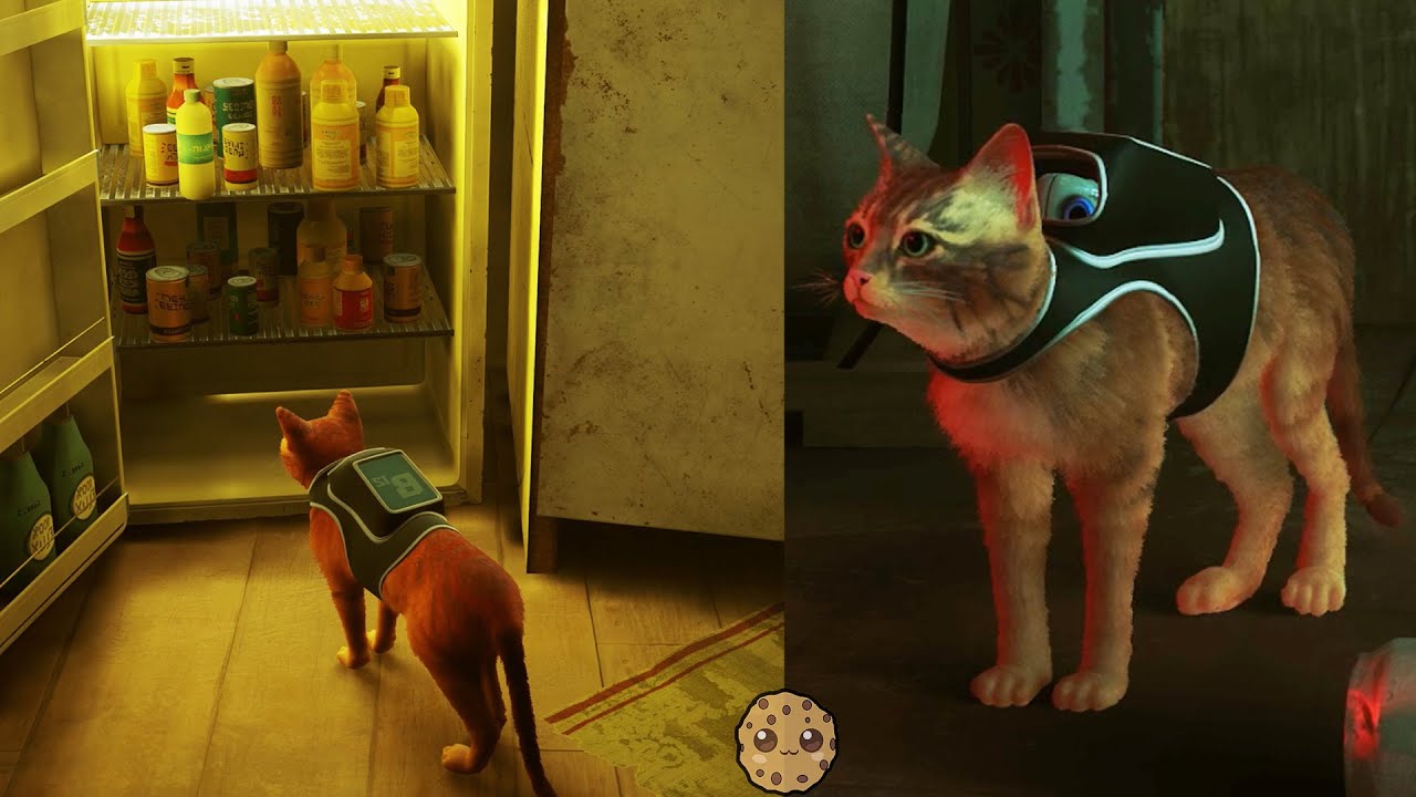 Fix Stray's Tracker: Elliot Repair Guide & Slums Secrets