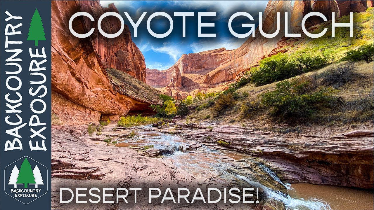 Coyote Gulch & Stevens Canyon Hiking Guide: Desert Backpacking Tips