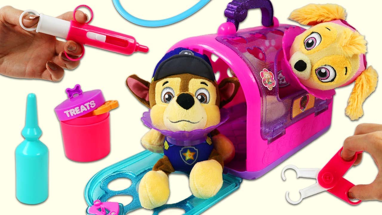 PAW Patrol Flea Treatment & Blippi Learning Activities