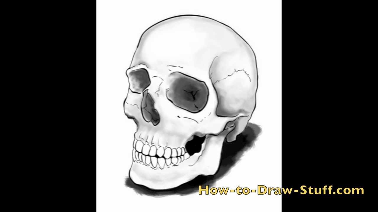 How to Draw a Skull: Step-by-Step 3/4 View Tutorial