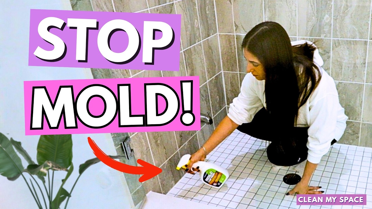 Effective Mold Prevention and Treatment at Home: Expert Guide