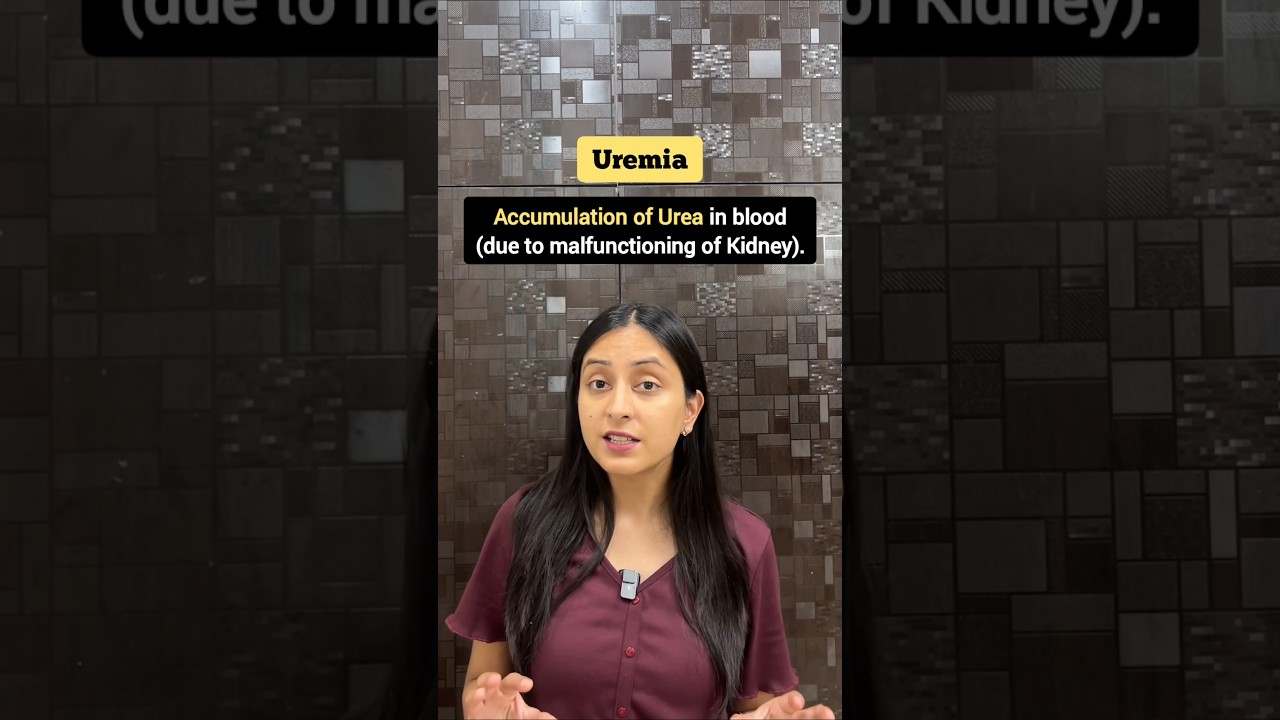 NCERT Biology Kidney Disorders: Quick Revision Guide for Exams