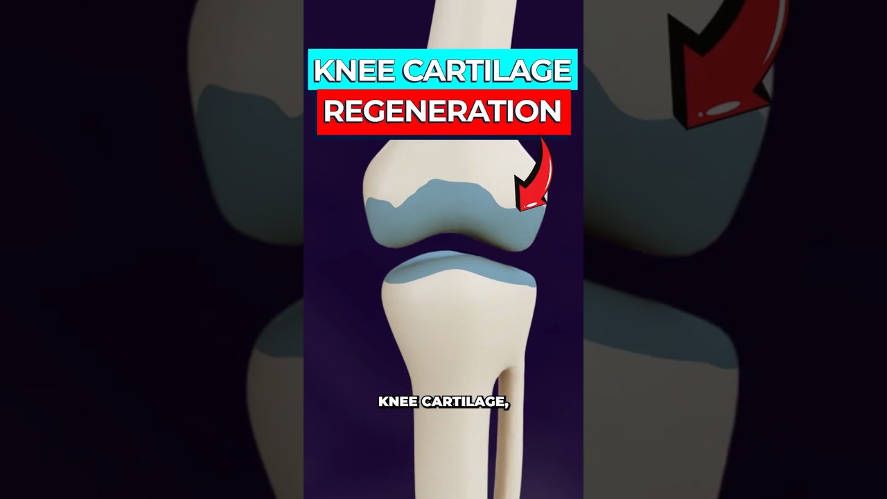 Breakthrough Regenerates Knee Cartilage Naturally, Avoids Replacement
