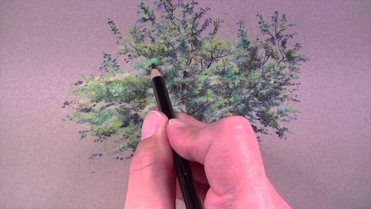 Master Tree Textures: Colored Pencil Techniques