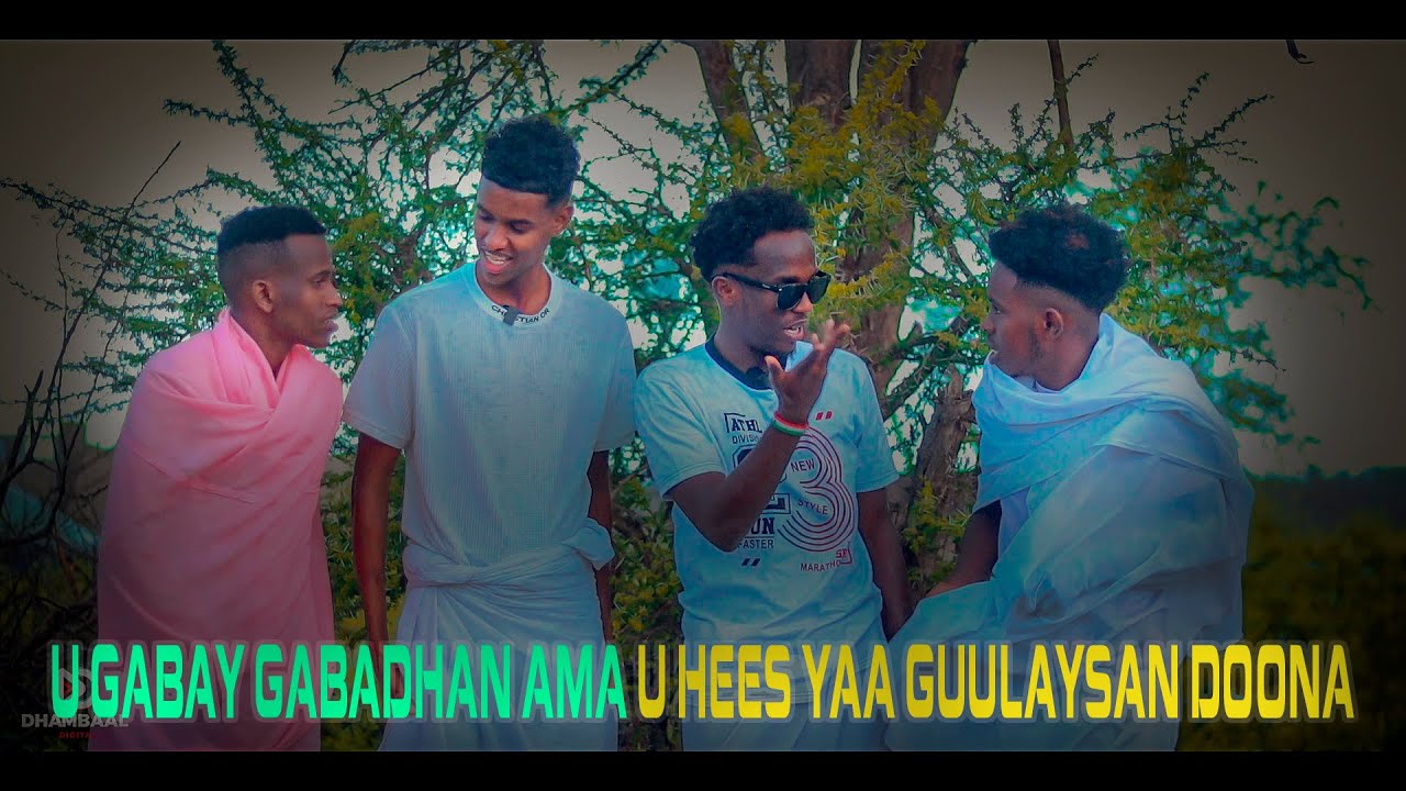 Understanding Arabic Music Performance Dynamics