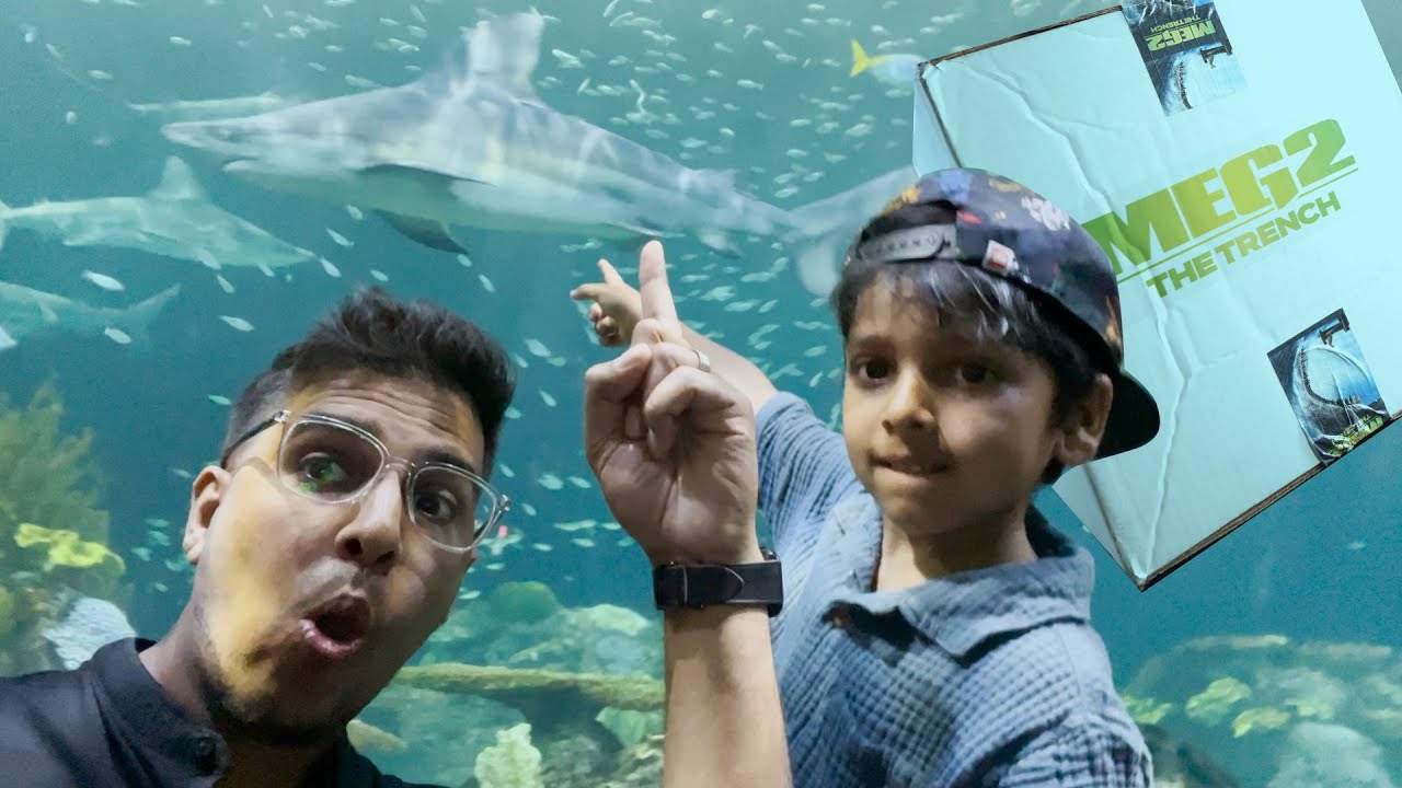 Inside Meg 2's Killer Shark Bath Collection Unboxing