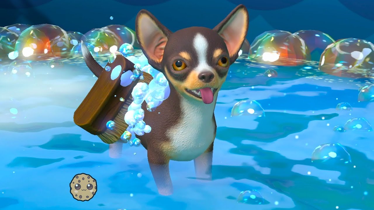 Puppy Island: Naming New Dogs & Forest Exploration Guide