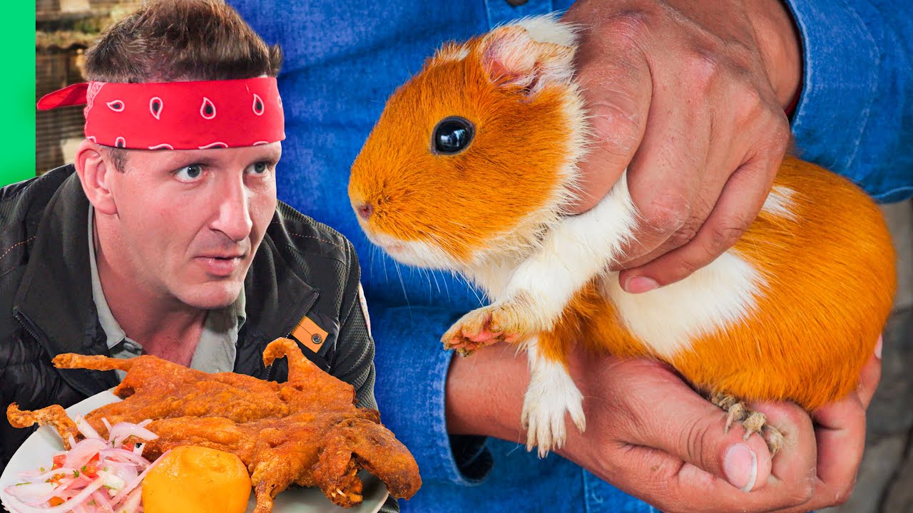 Peruvian Guinea Pig Cuisine: Why Cuy Tops Local Food Culture