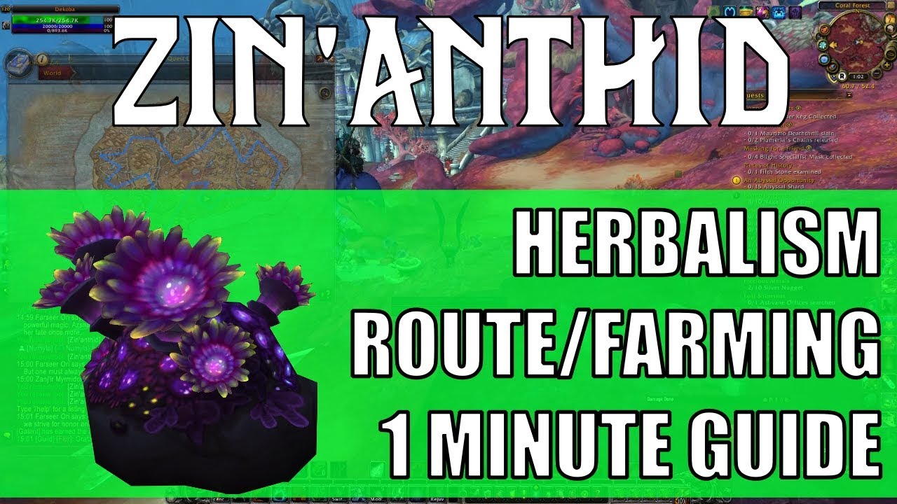 Zin'anthid Farming Guide: 30k Gold/Hour Nazjatar Route