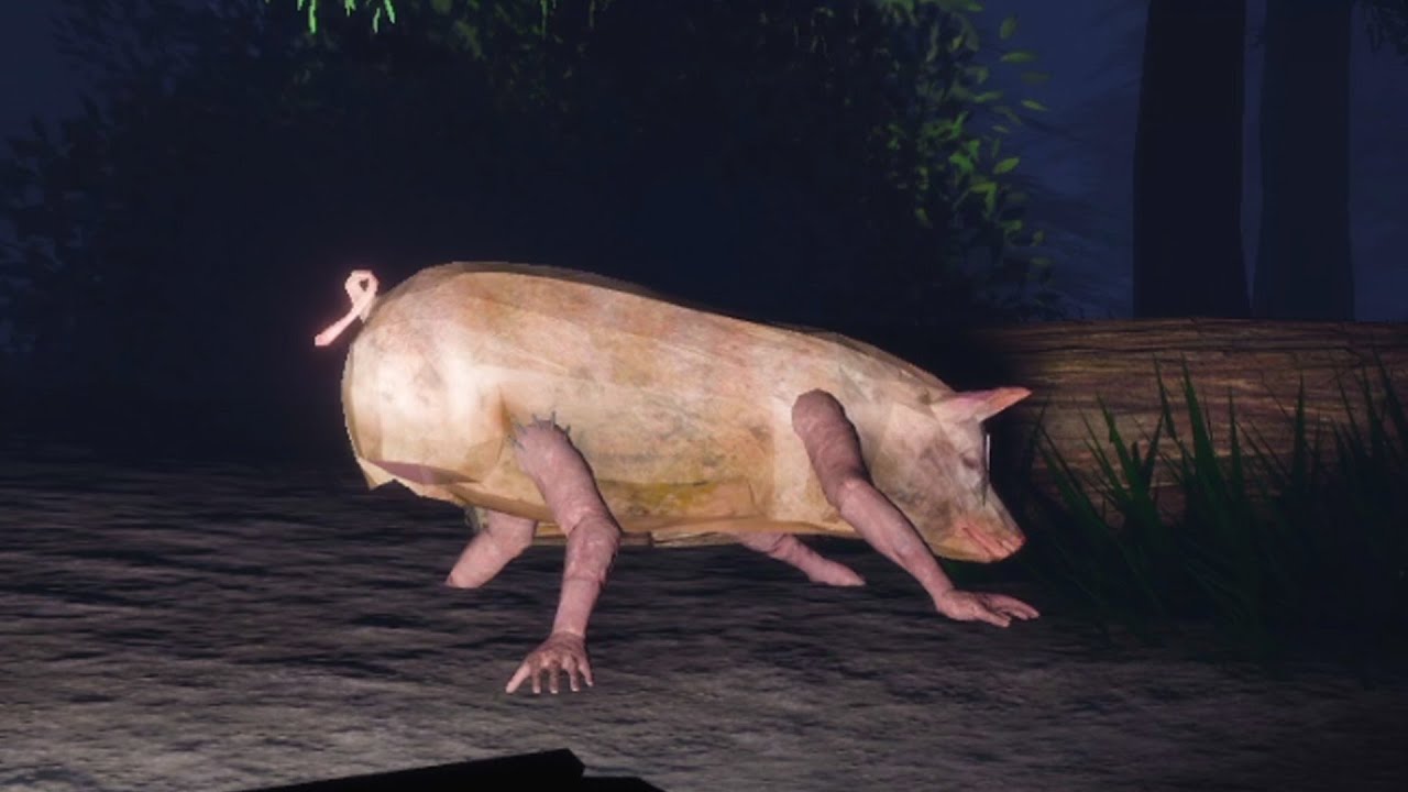 Cottonwood Farm Survival Guide: Essential Tips & Puzzle Solutions