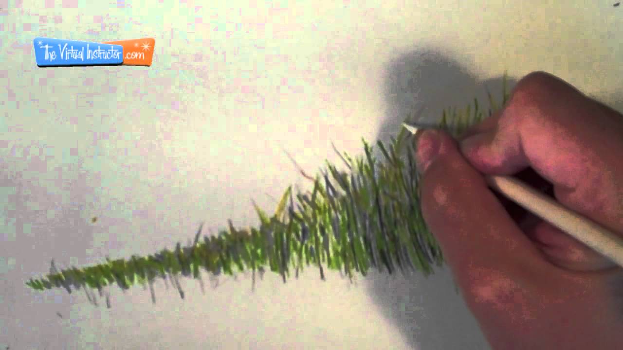 How to Draw Realistic Grass: Colored Pencil Layering Techniques