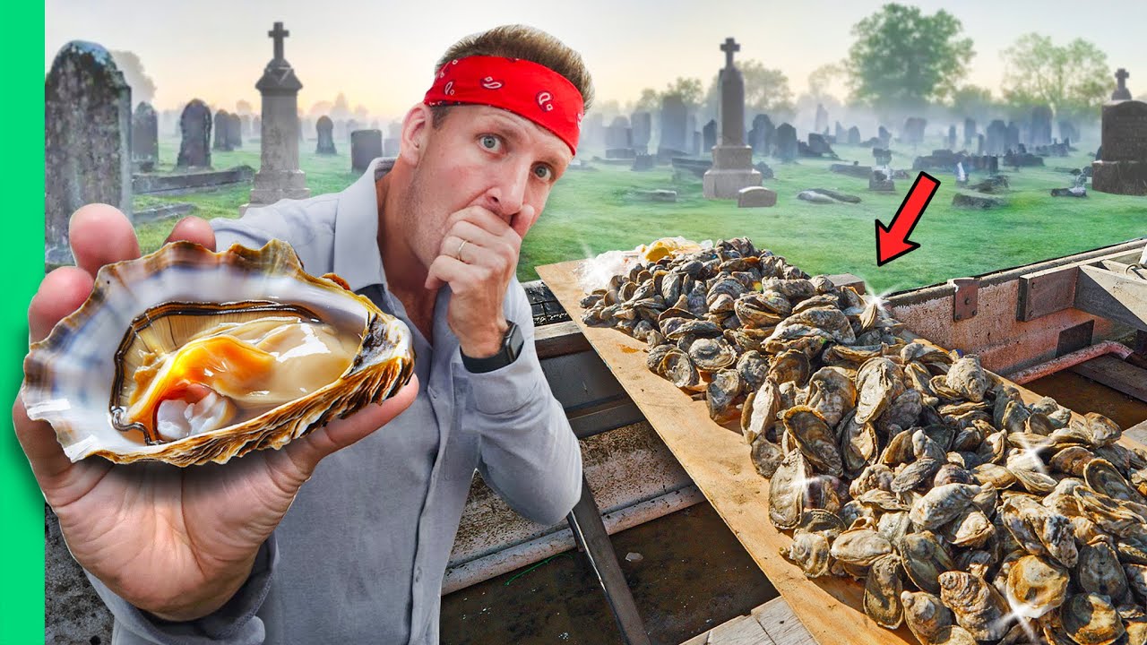 Virginia Oyster Farming: From Seed to Gourmet Plate