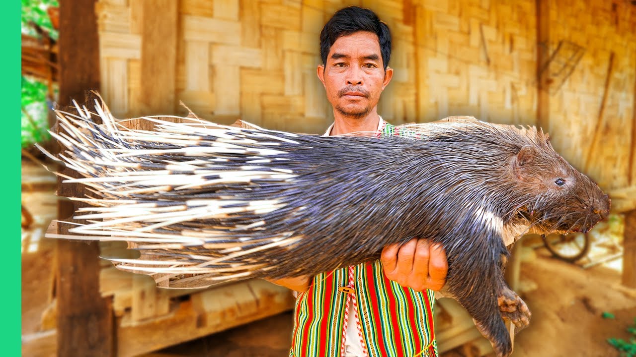 Vietnam's Tribal Food Secrets: Porcupine Feasts & Mountain Trails