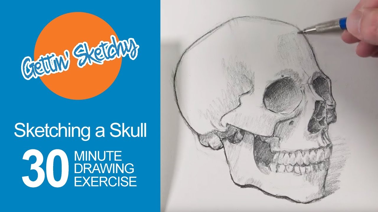 Master Skull Drawing in 30 Minutes: Step-by-Step Guide