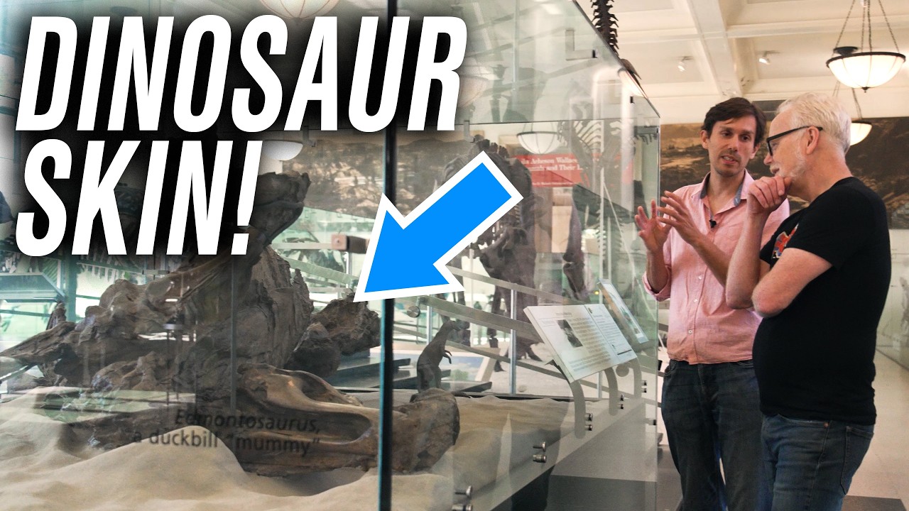 Dinosaur Skin, Feathers, and Color: Paleontology Breakthroughs Explained