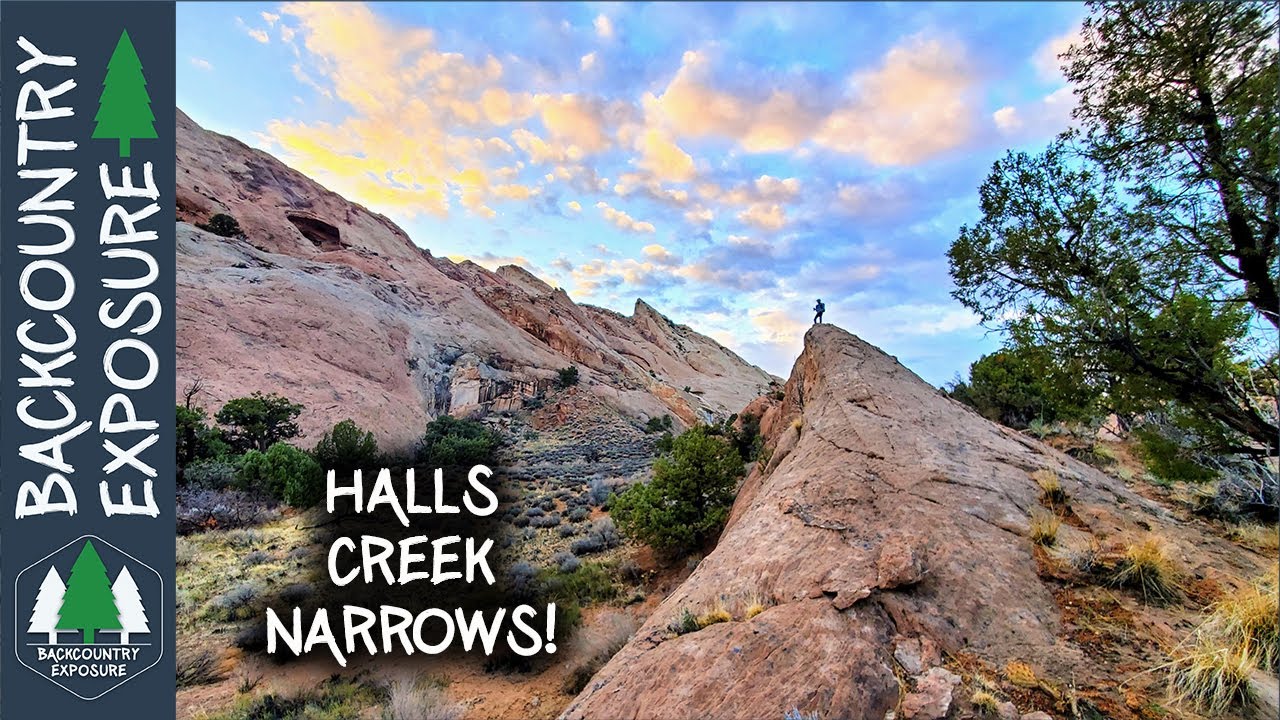 Essential Halls Creek Narrows Hiking Guide: Capitol Reef Tips