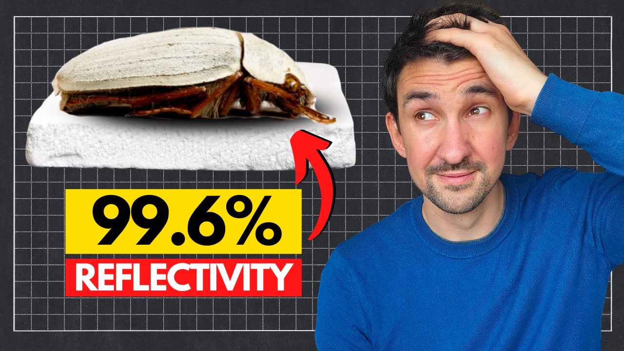 Beetle-Inspired Cooling Ceramic Cuts Energy Use by 20%