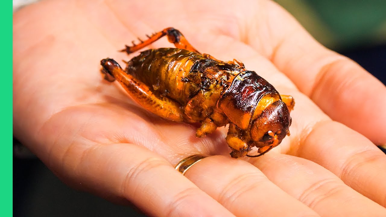 Mandalay's Most Extreme Foods: Brains, Bugs & Beyond