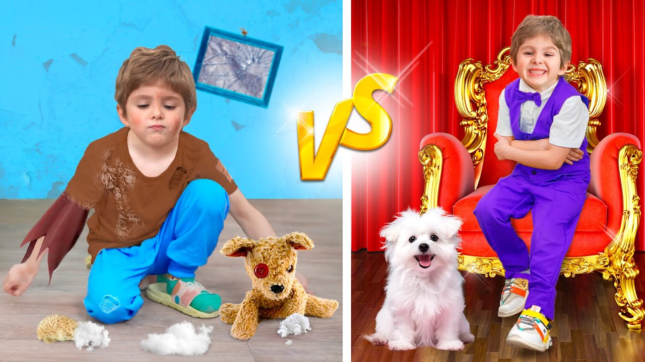 Engaging Preschool Activities for Colors, Shapes, and Animals