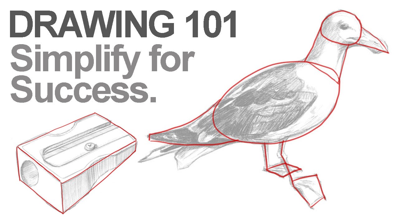 Master Drawing Basics: Simplify Complex Subjects with Shapes