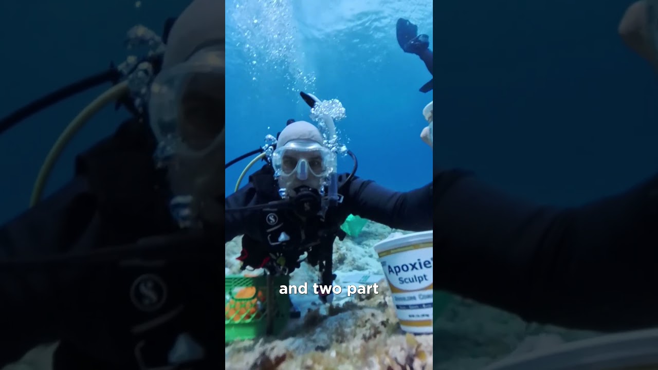 Coral Restoration: Secure Staghorn with Epoxy Technique