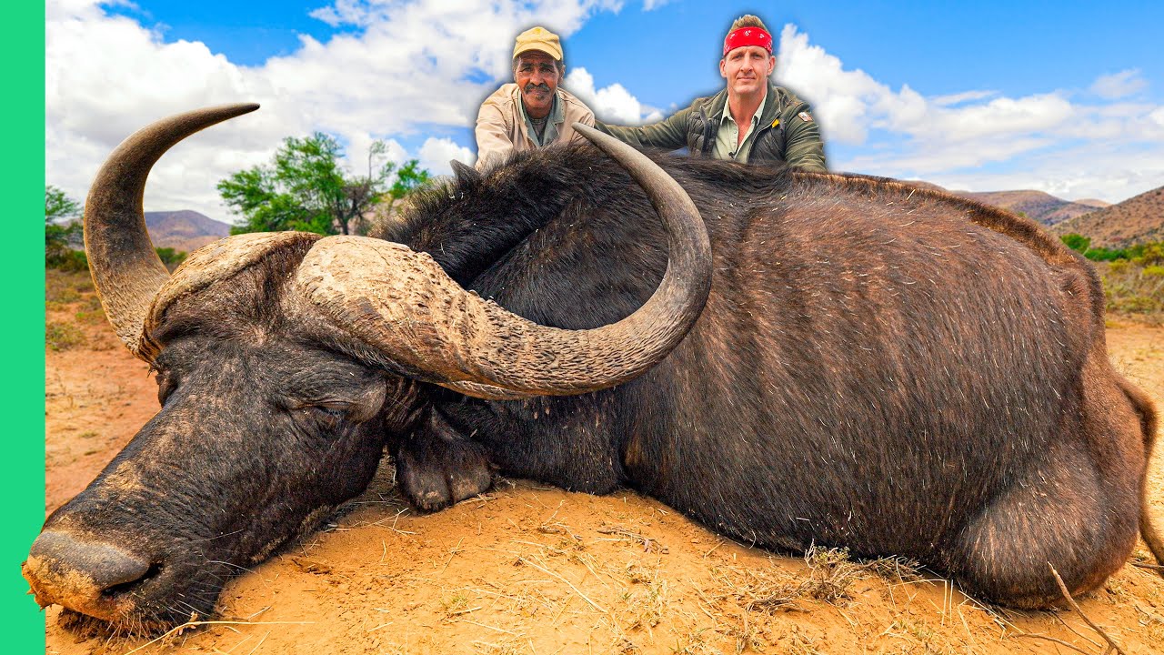 Why Hunt Africa's Deadliest Buffalo? The Shocking Purpose Behind the Risk