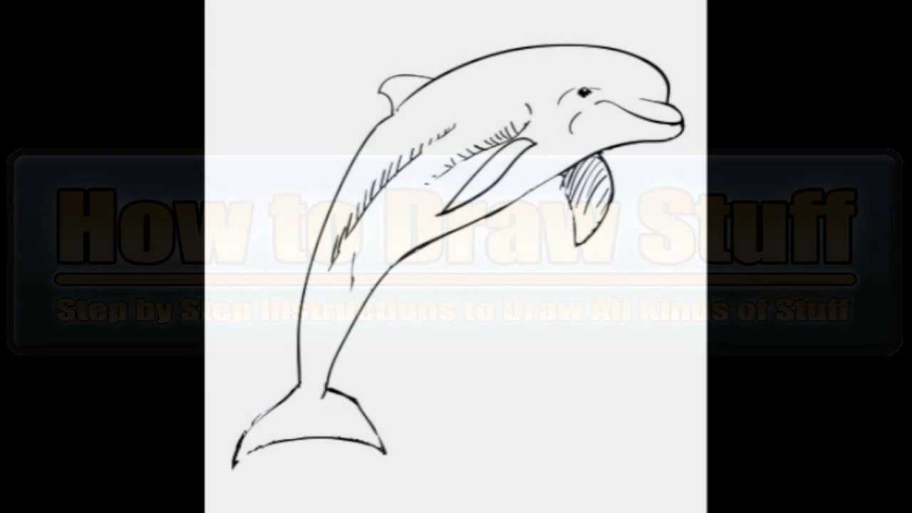 How to Draw a Dolphin: Step-by-Step Guide for Beginners