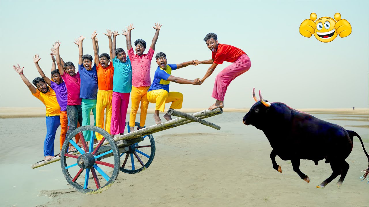 Understanding Chaotic Family Conflicts and Communication Breakdowns