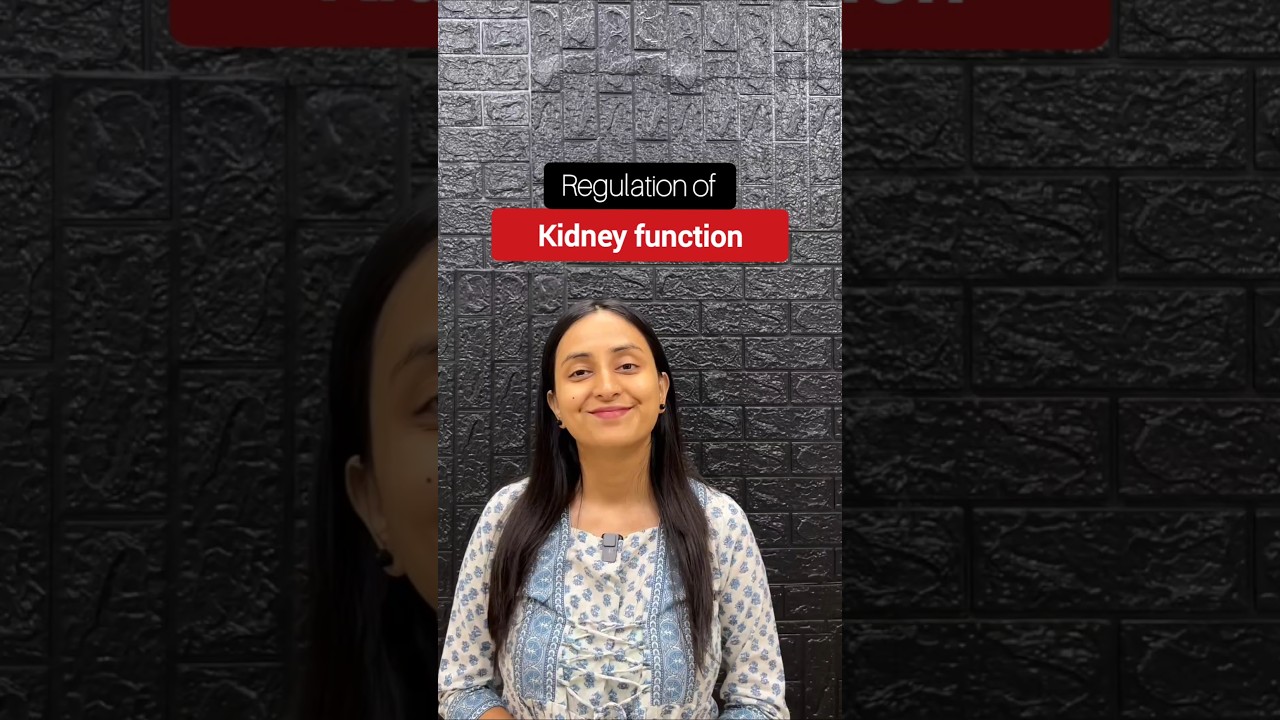How Hypothalamus Regulates Kidney Function via ADH