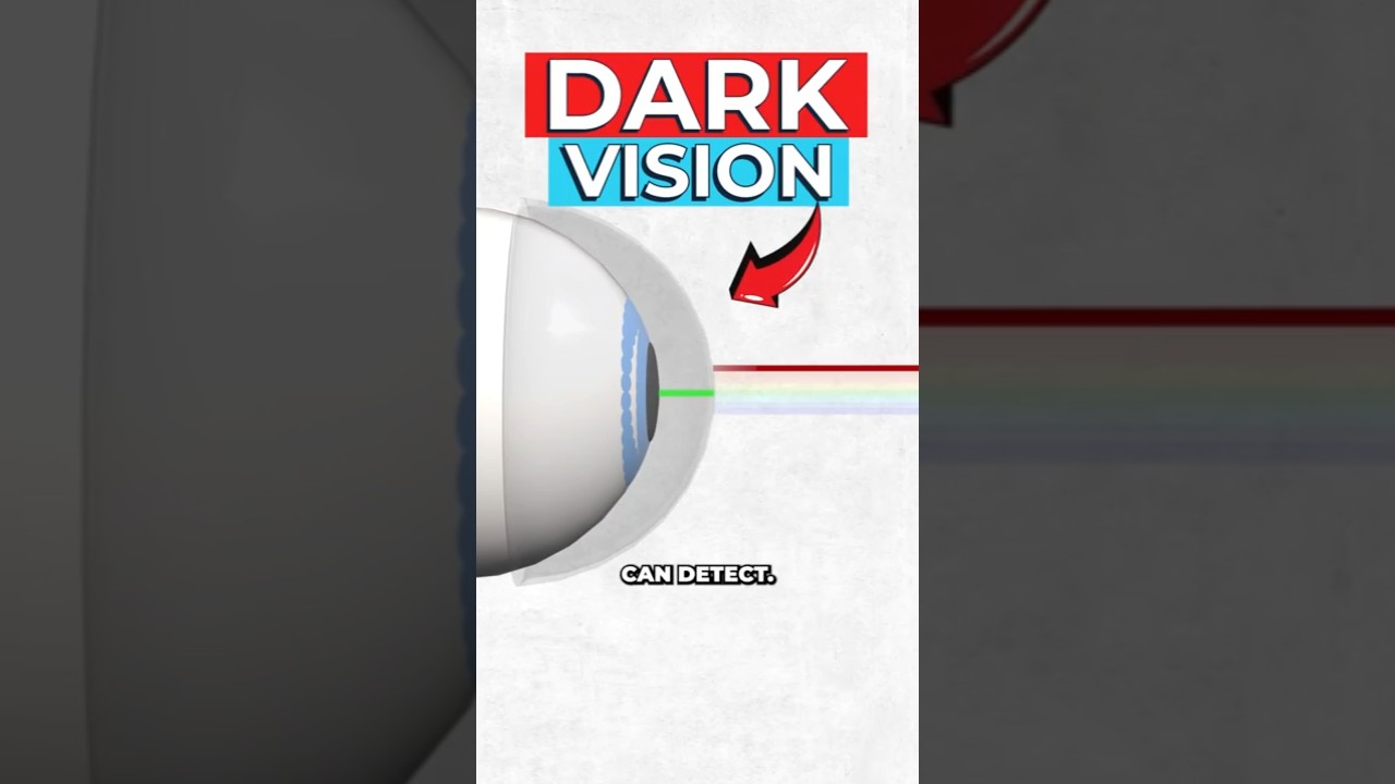 See Infrared Light: Contact Lenses That Work With Eyes Closed