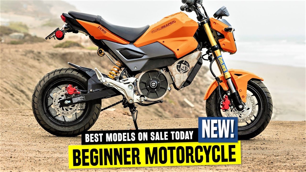 Top 8 Beginner Motorcycles: Safe, Easy & Fun Rides