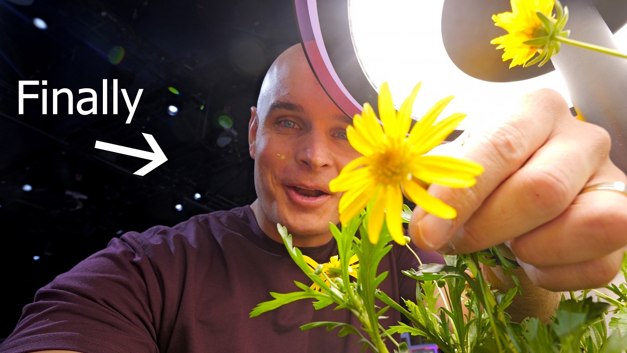 LG's CES 2025 Innovations: AI & OLED Tech Redefining Home Experiences