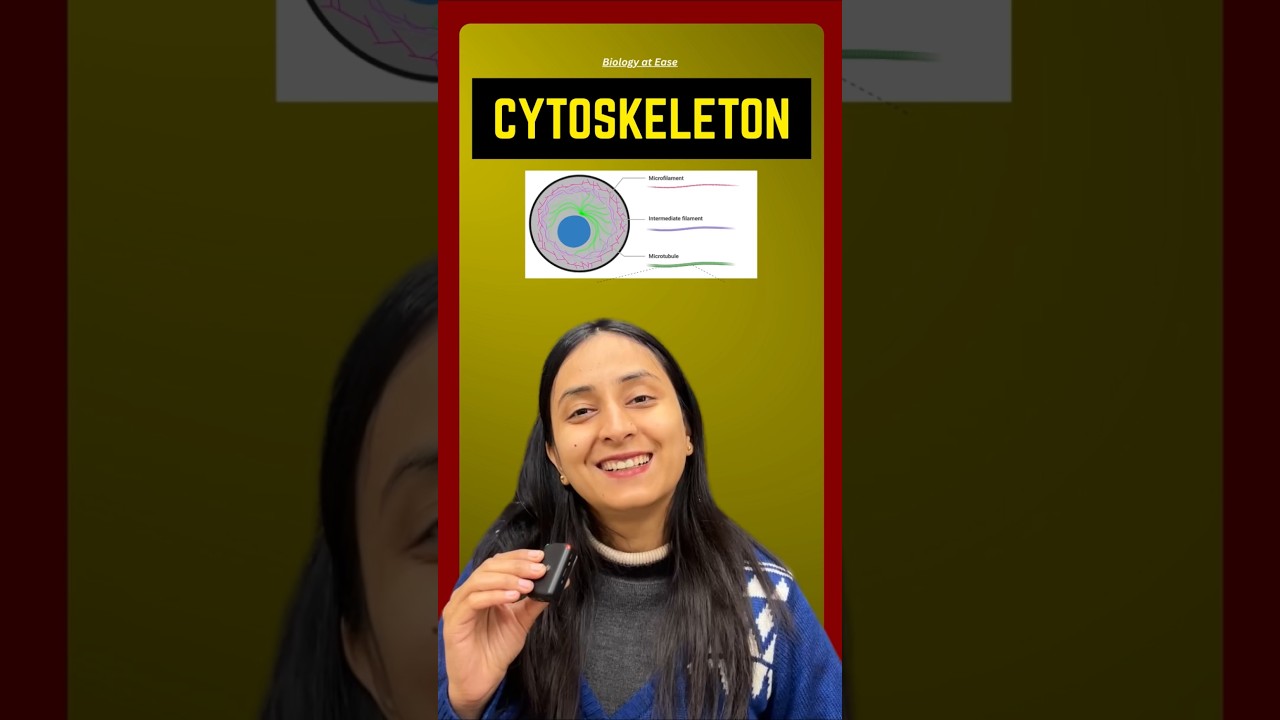 Cytoskeleton Explained: Structure, Functions & Key Components