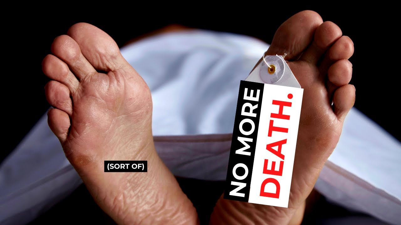 Yale's OrganEx: Reversing Death & Revolutionizing Transplants