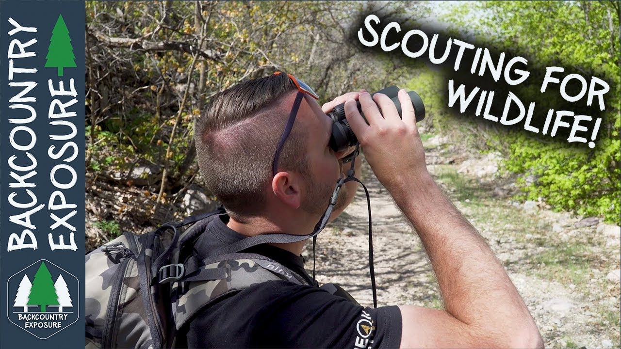 Solo Stove Lite Review: Why It Beats Firebox Nano for Hiking