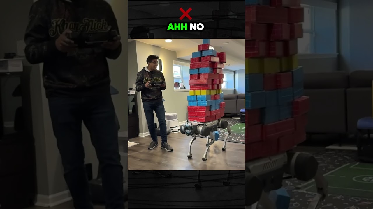 Robotic Dog Payload Test: 6 Bricks Success