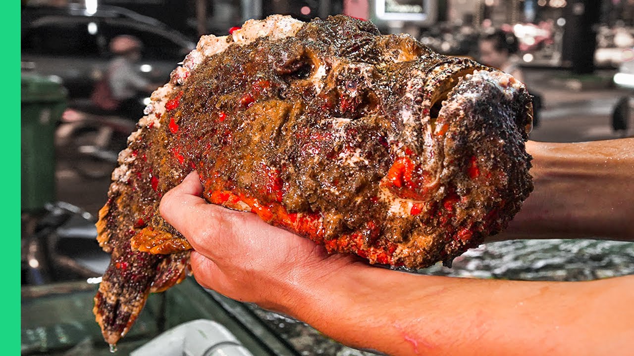 Vietnam Seafood Value Guide: Tuna Eye to Stone Fish