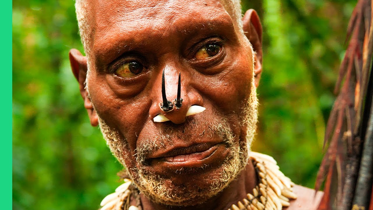 Inside the Kowari Tribe's Rainforest Diet: Survival Foods of Papua